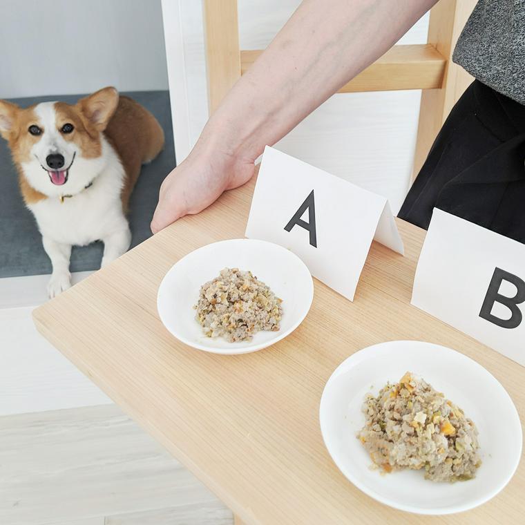 PETOKOTO FOODSの試食品を見つめる社員犬コルク