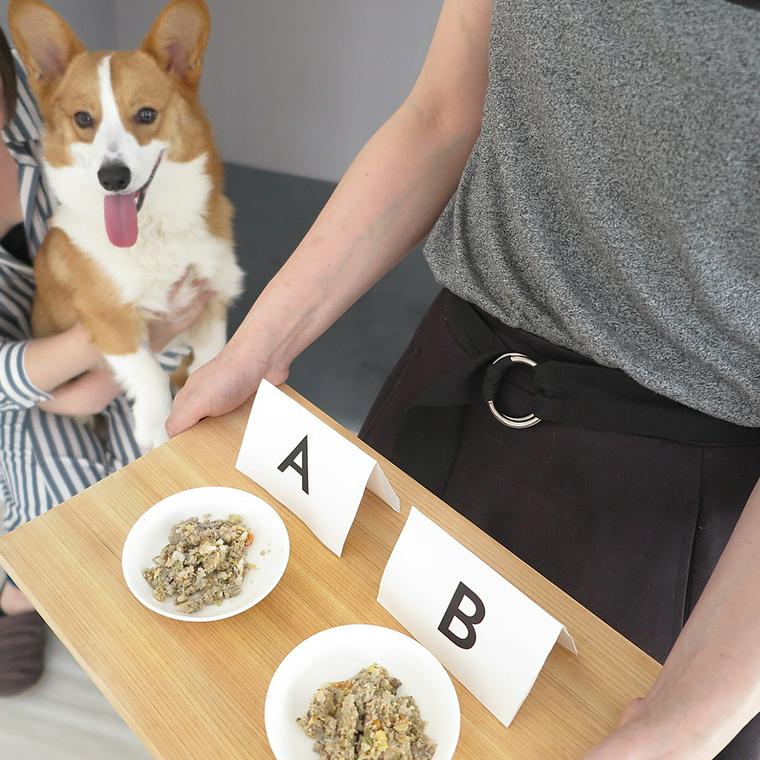 PETOKOTO FOODSの試食品と社員犬おこげ