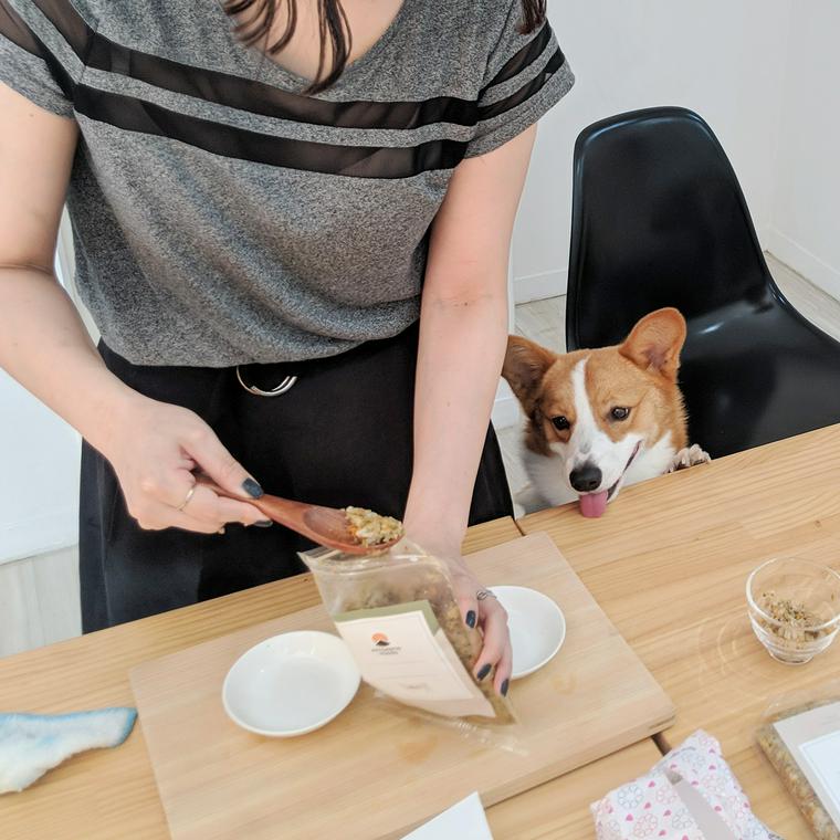 試食の準備中も自分の番が待ちきれず、横で見守るおこげ