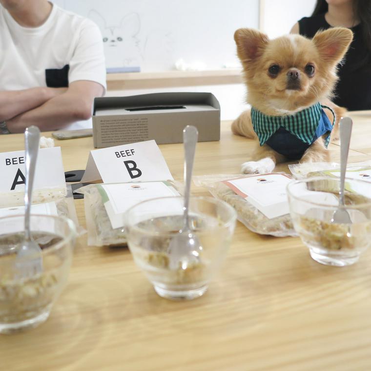 PETOKOTO FOODSの試食品と社員犬ハナ