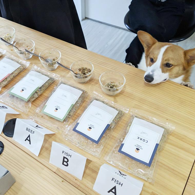 PETOKOTO FOODSの試食品を見つめる社員犬おこげ