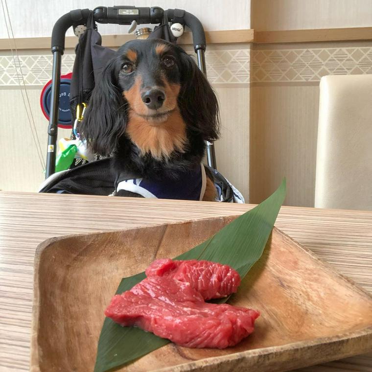 むぎちゃんとお肉