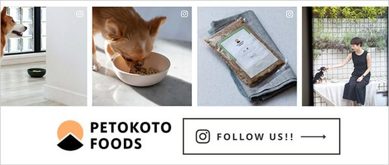 PETOKOTO FOODSの公式Instagramの紹介バナー