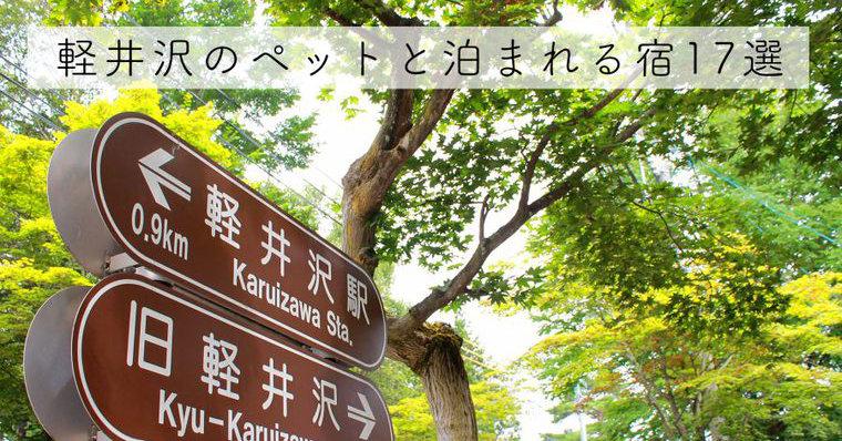 軽井沢で人気のペットと泊まれる宿おすすめ18選 温泉付きやドッグラン付きなど特徴別にご紹介 ペトコト