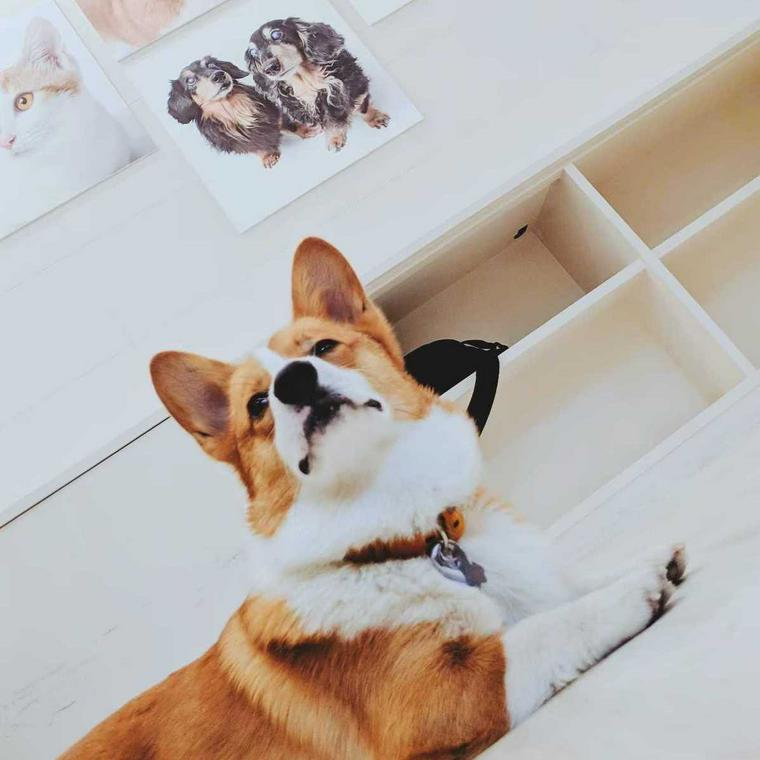 おこげ