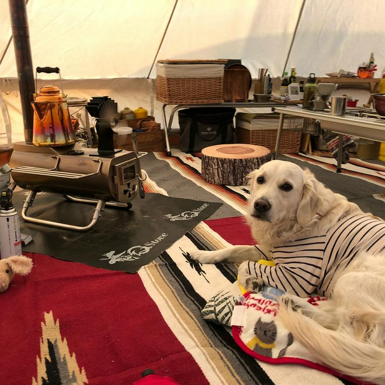 犬okのキャンプ場 九州編 ドッグランのある施設や 近くに温泉のあるところも ペトコト