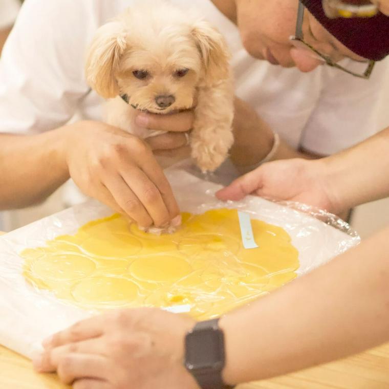 とらちゃん肉球取り