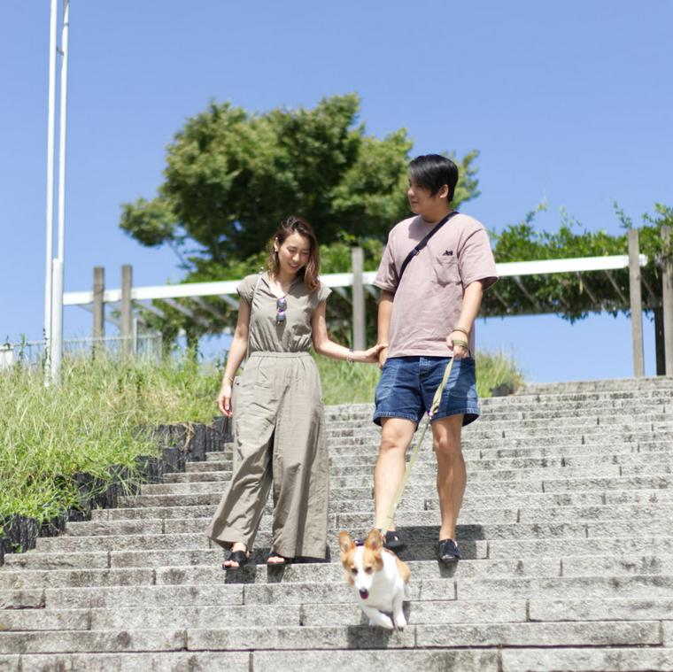 Fun Letter 温泉も一緒に楽しみたい 箱根で見つけた愛犬と私の時間 ペトコト