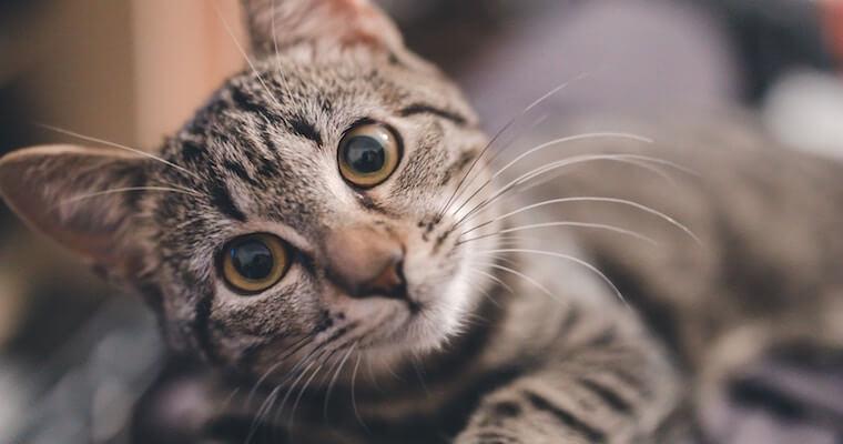 あらゆる程度の火傷を防ぐ