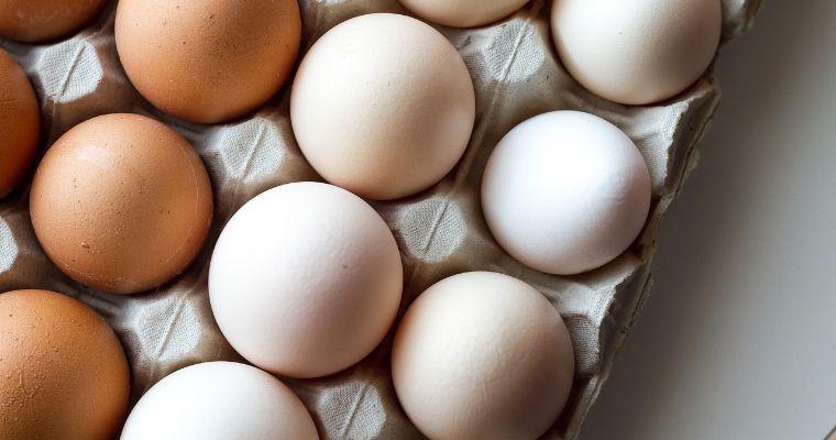 糖尿病とコレステロール