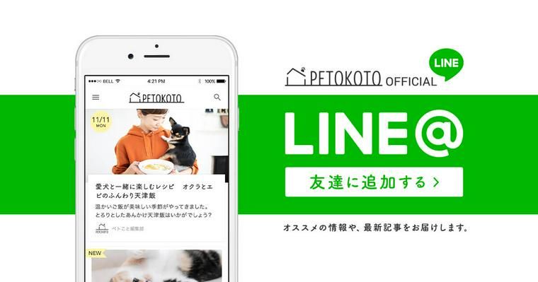【お知らせ】LINE@が始まりました! 愛犬・愛猫との暮らしが楽しくなる読みものをお届けします♪