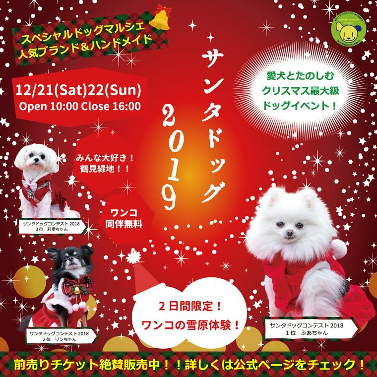 サンタドッグ2019