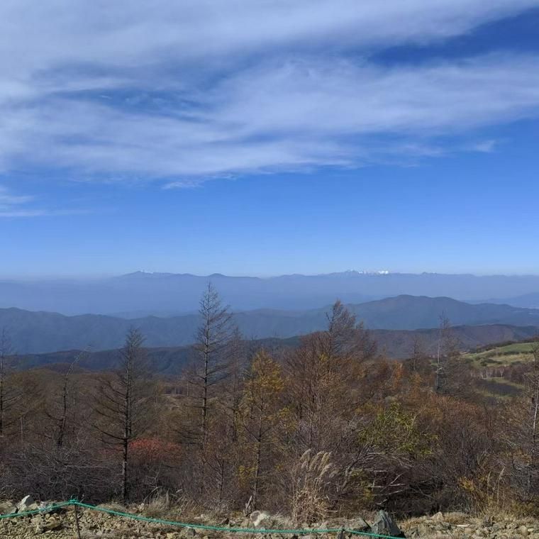 入笠山で犬と登山