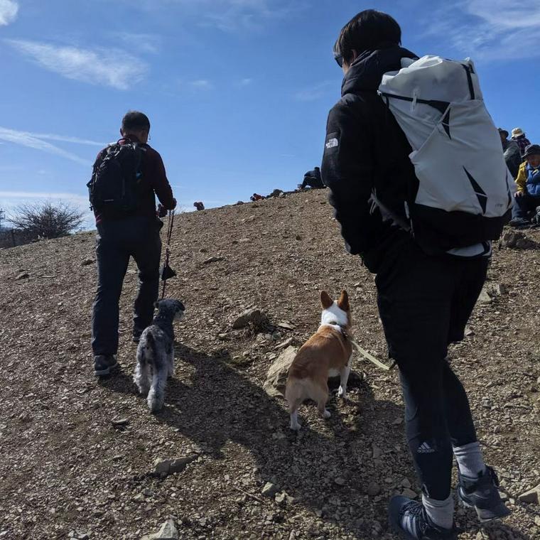 入笠山で犬と登山