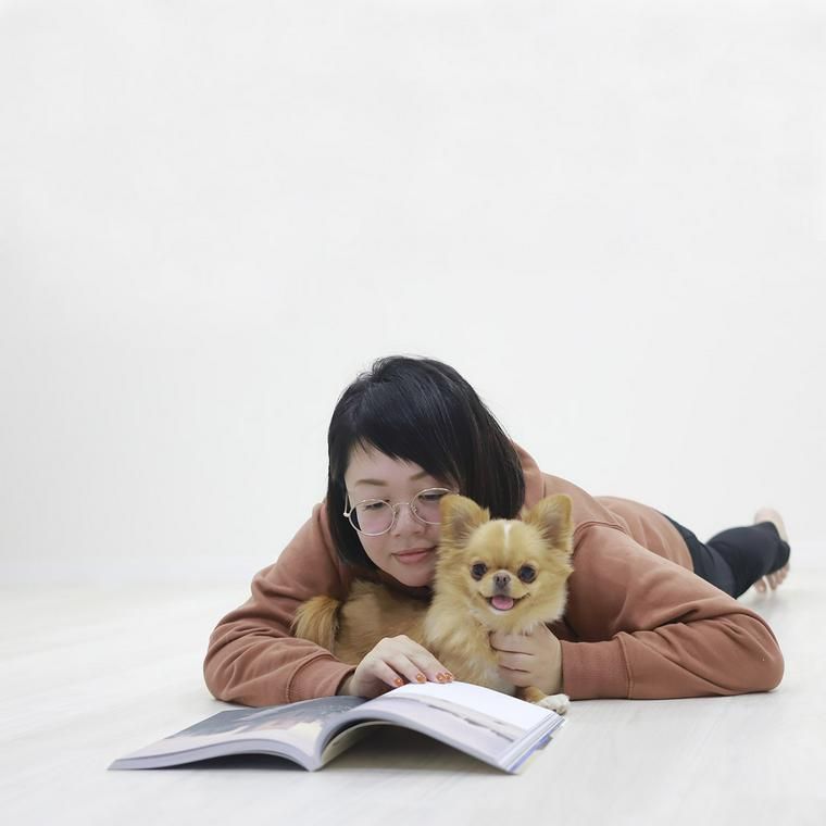 犬と雑誌