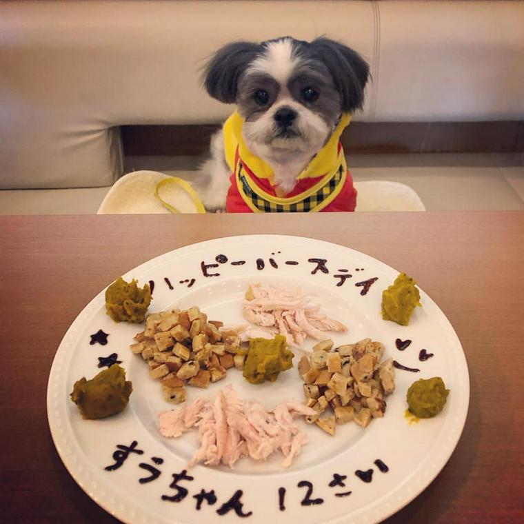 町田のおすすめドッグカフェ 犬同伴可レストラン9選 犬連れでランチを楽しもう ペトコト