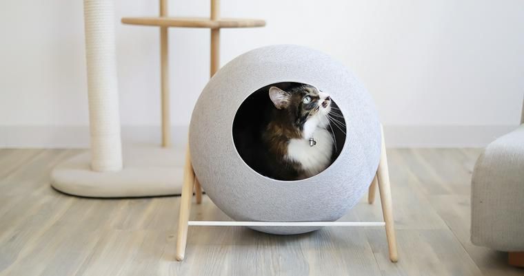 【Buyer's Review】デザイン性の高さが際立つ、猫ハウスMeyouのTHE BALL