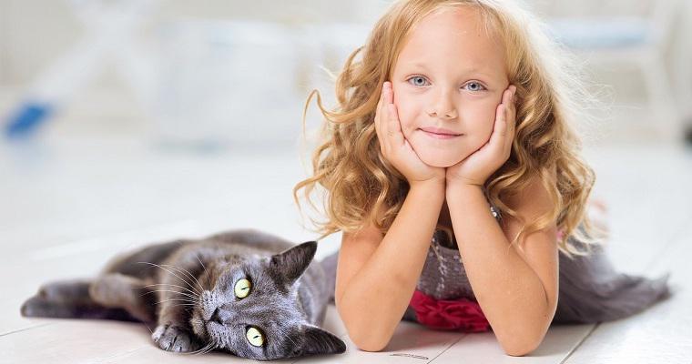 猫の人見知りの治し方はある? 人見知りする理由や対策とは
