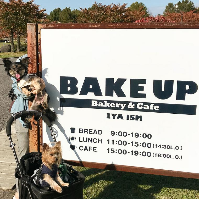 新潟県にあるドッグカフェBAKE UP 1YAISM / 一家イズム