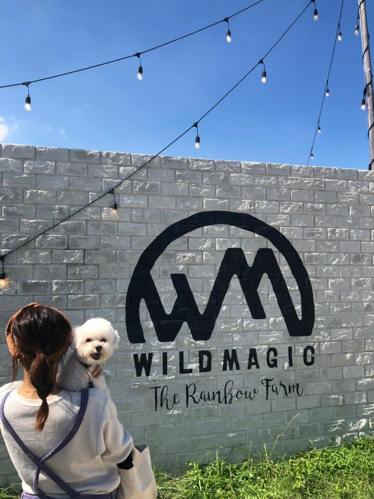 犬とバーベキューができるWILD MAGIC