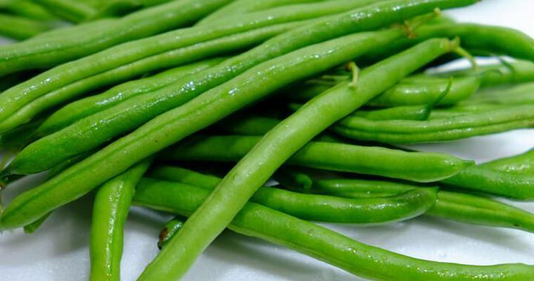 犬はいんげんを食べても大丈夫! 与え方に注意すれば栄養豊富な食材