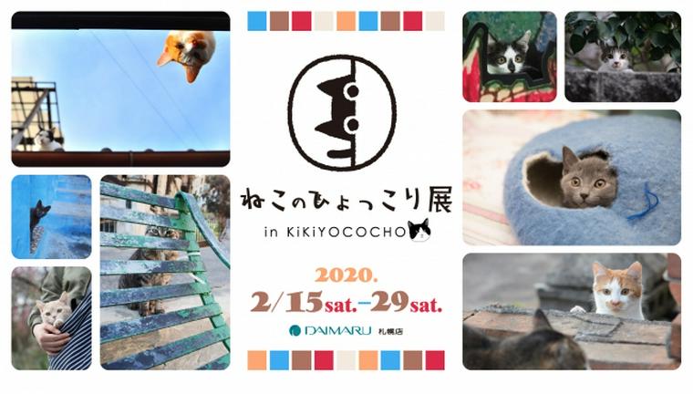 ねこのひょっこり展 in KiKiYOCOCHO