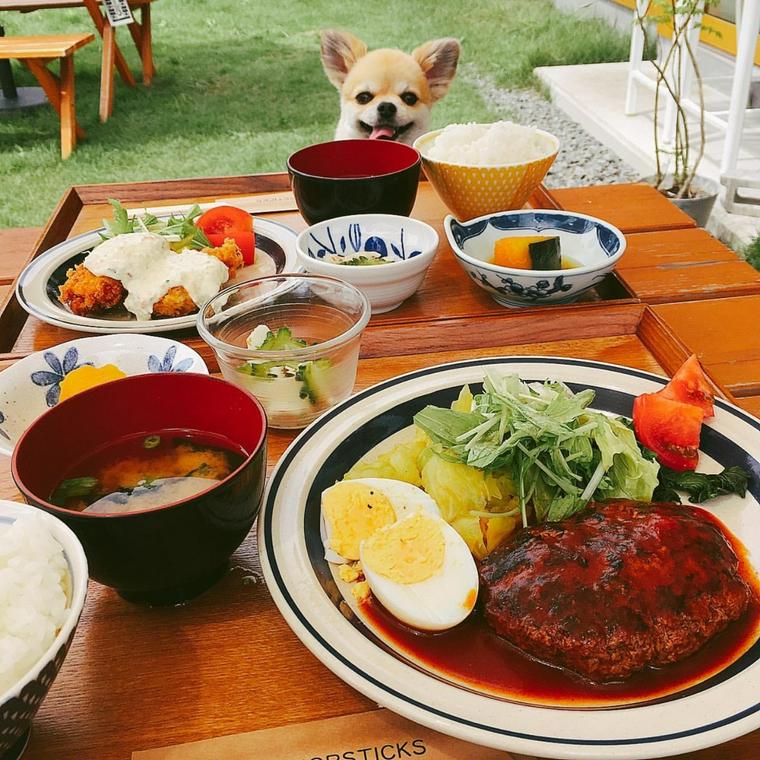 和歌山のドッグカフェ 犬同伴可レストランおすすめ8選 人気店や看板犬と触れ合えるカフェも紹介 ペトコト