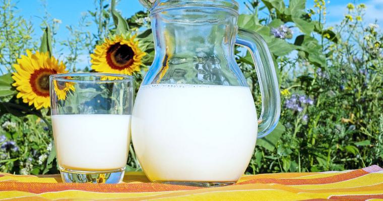 犬が牛乳を飲むと下痢の可能性も アレルギーや栄養不足になる理由を解説