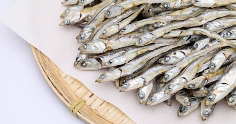 犬に煮干しをあげても大丈夫? 食べ過ぎると嘔吐や結石の可能性も