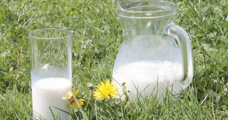 猫が牛乳を飲んではいけない理由とは 下痢や嘔吐、アレルギー症状に注意