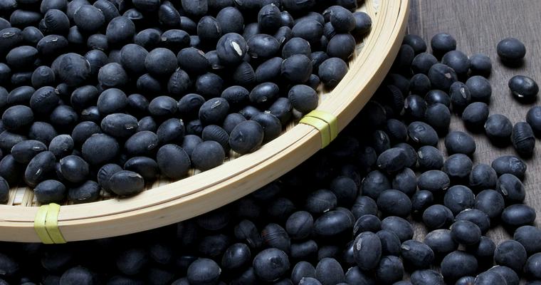 犬は黒豆を食べても大丈夫? おせちの黒豆は糖分が多すぎるのでNG