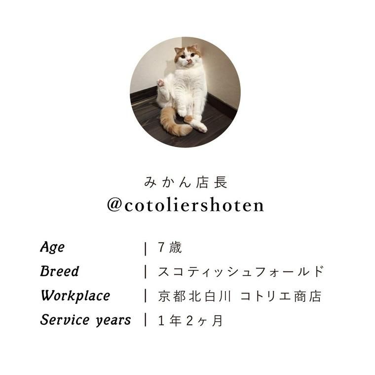 みかん店長のプロフィール