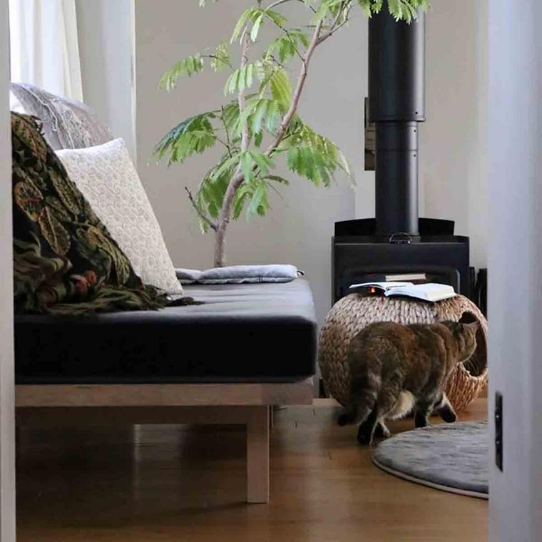 デイベッドとキャットハウスのそばを歩く猫