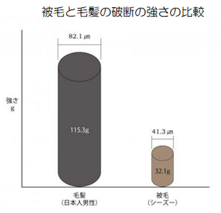 犬の被毛は人と違う 被毛の構造と役割を被毛研究のプロが解説 ペトコト