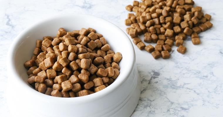 犬にキャットフードを与えるのはNG! その理由や必要な栄養の違いなどを紹介