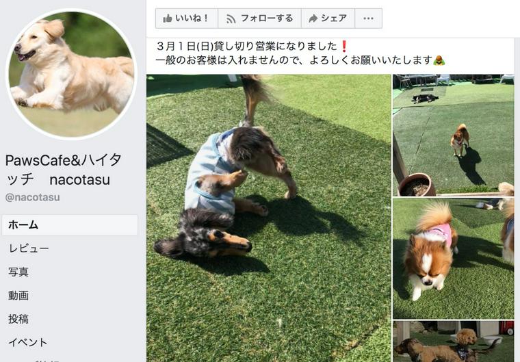 和歌山のドッグカフェ 犬同伴可レストランおすすめ8選 人気店や看板犬と触れ合えるカフェも紹介 ペトコト