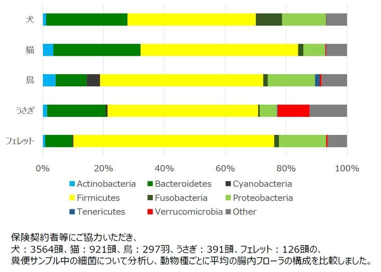 動物種ごとの腸内フローラ