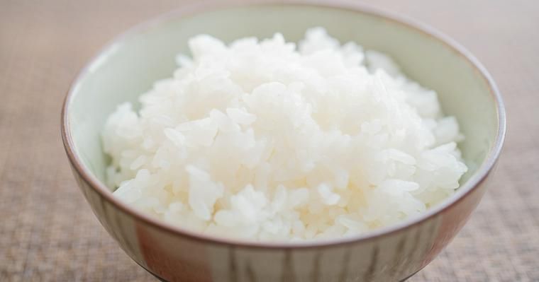 犬はお米を食べても大丈夫！アレルギーなど注意点や手作りレシピを紹介