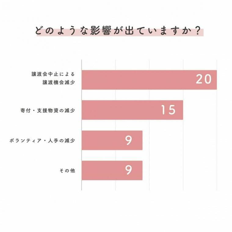 コロナで保護団体にどんな影響が出ているか