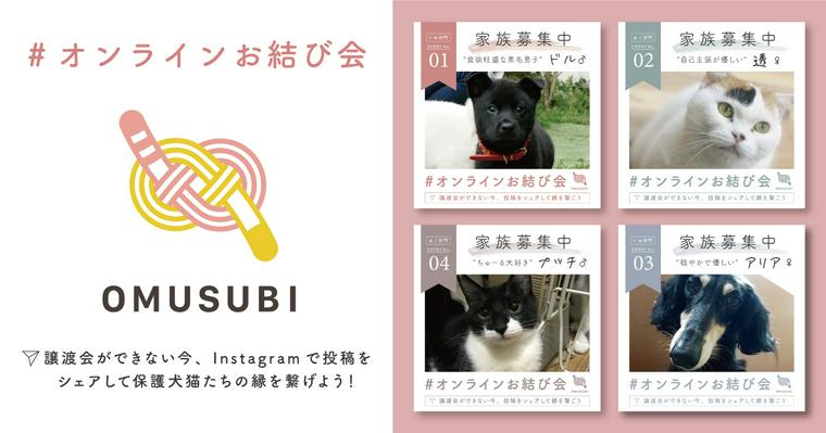 譲渡会が開催できない保護犬猫の架け橋に「#オンラインお結び会」スタート