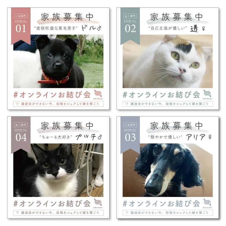 オンラインお結び会のイメージ画像