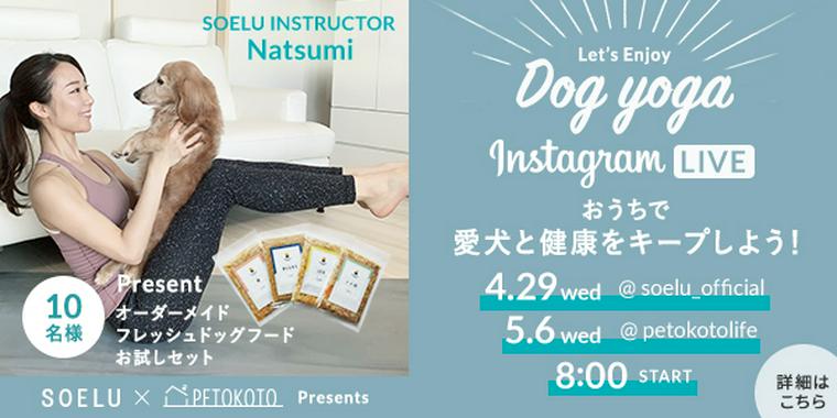 おうち時間の運動不足を愛犬と楽しく解消 オンラインドッグヨガを開催します ペトこと