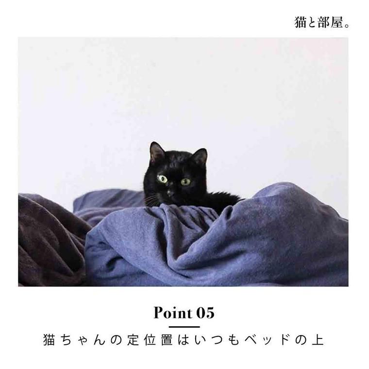 ベッドの布団の上でくつろぐ黒猫