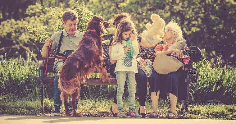 犬とコミュニケーションってどう取るの? アニマル・ウェルフェアにのっとった犬の飼い方とは