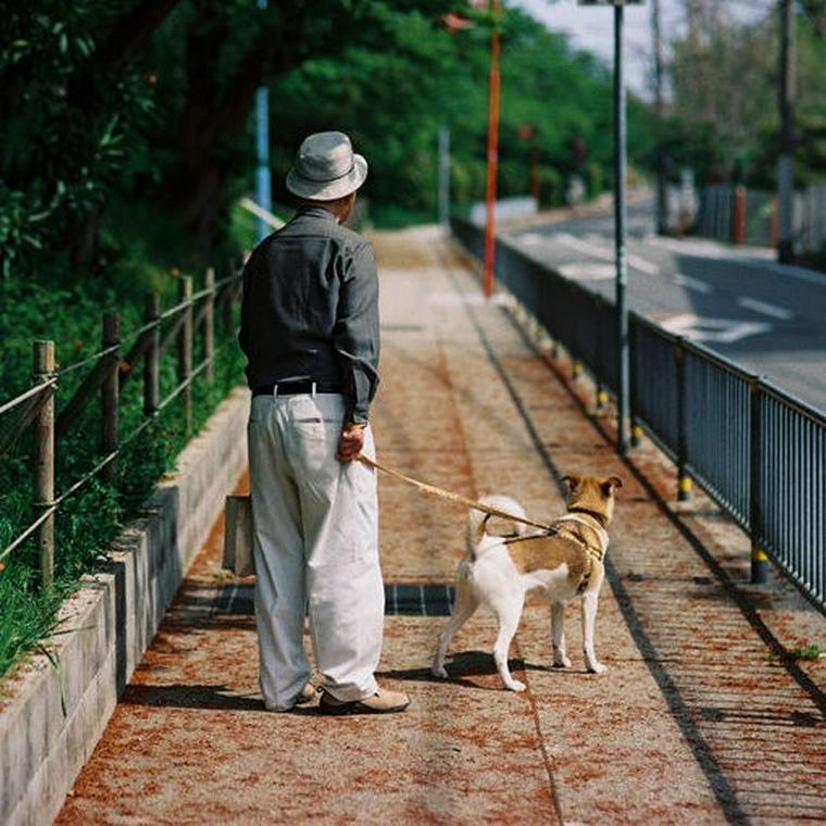 散歩する高齢者と犬