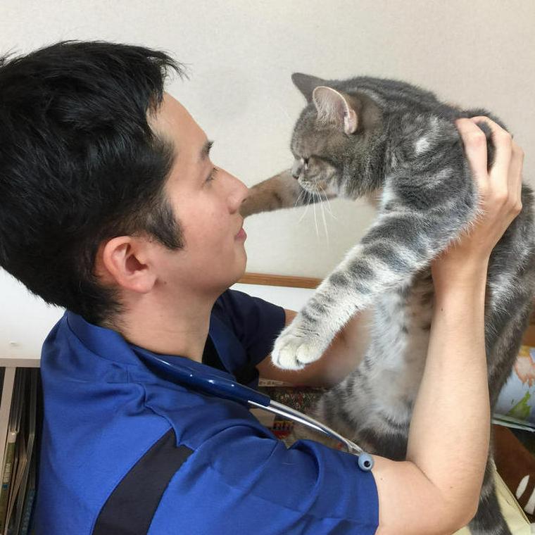 猫を抱く獣医師