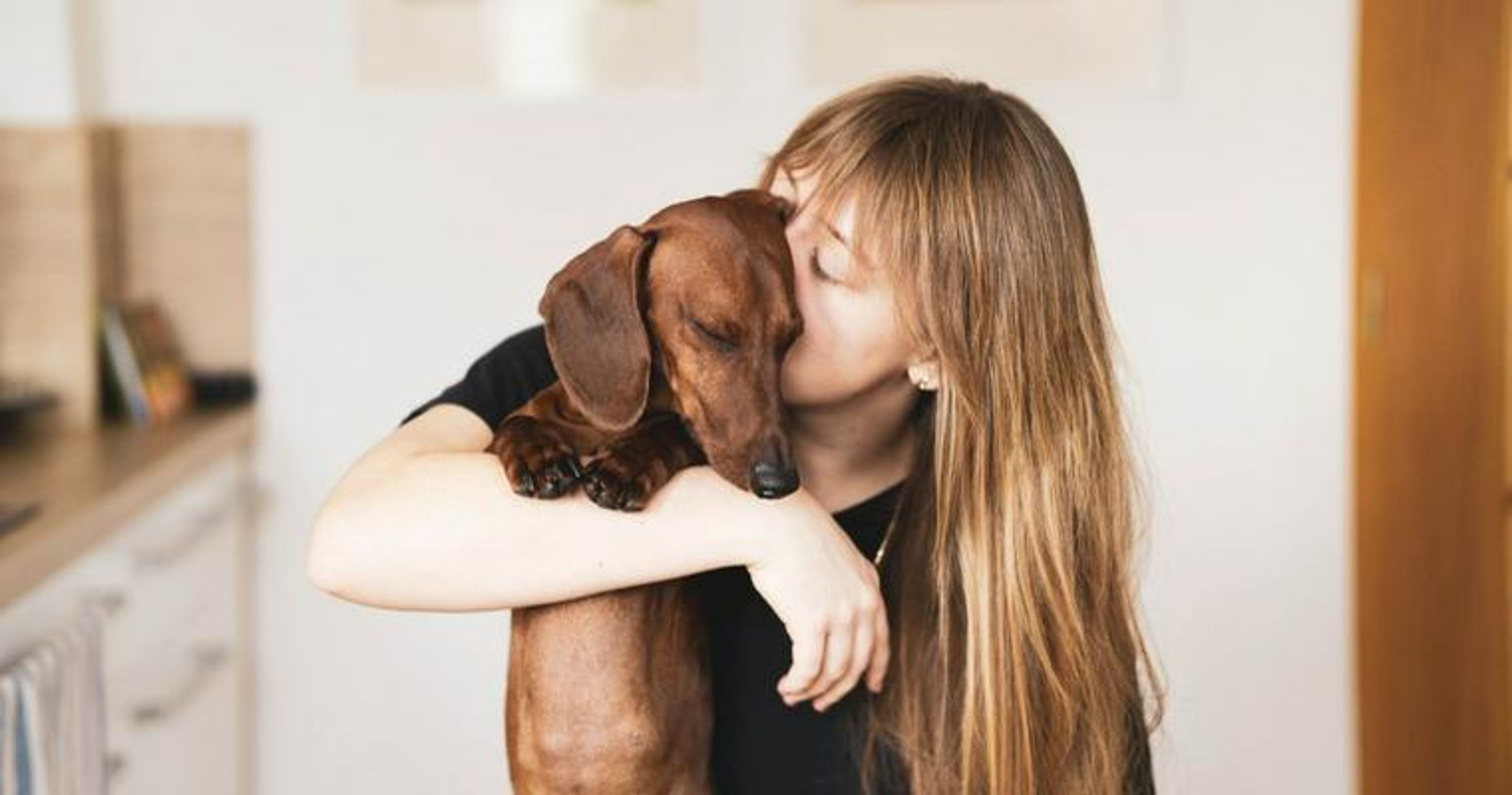 【トレーナー・獣医師監修】ダックスフンドってどんな犬？性格・特徴・育て方・迎え方