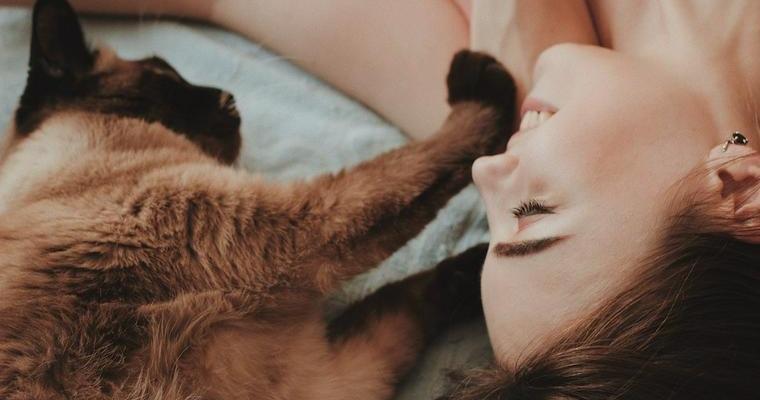 猫は一緒に寝る人を選んでる！一緒に寝る理由や寝る位置でわかる猫の気持ちを紹介
