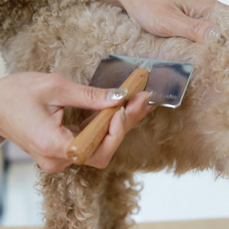 犬の毛をとかしているブラシ