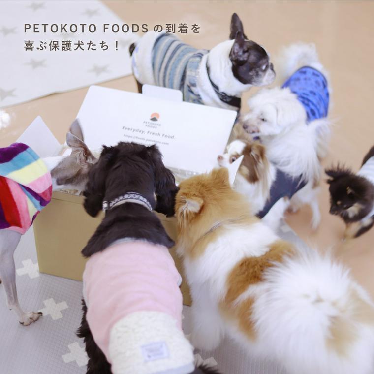 PETOKOTO FOODSに群がる保護犬たち